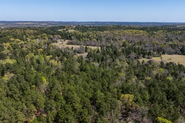 0 County Road 478, Larue, TX 75770