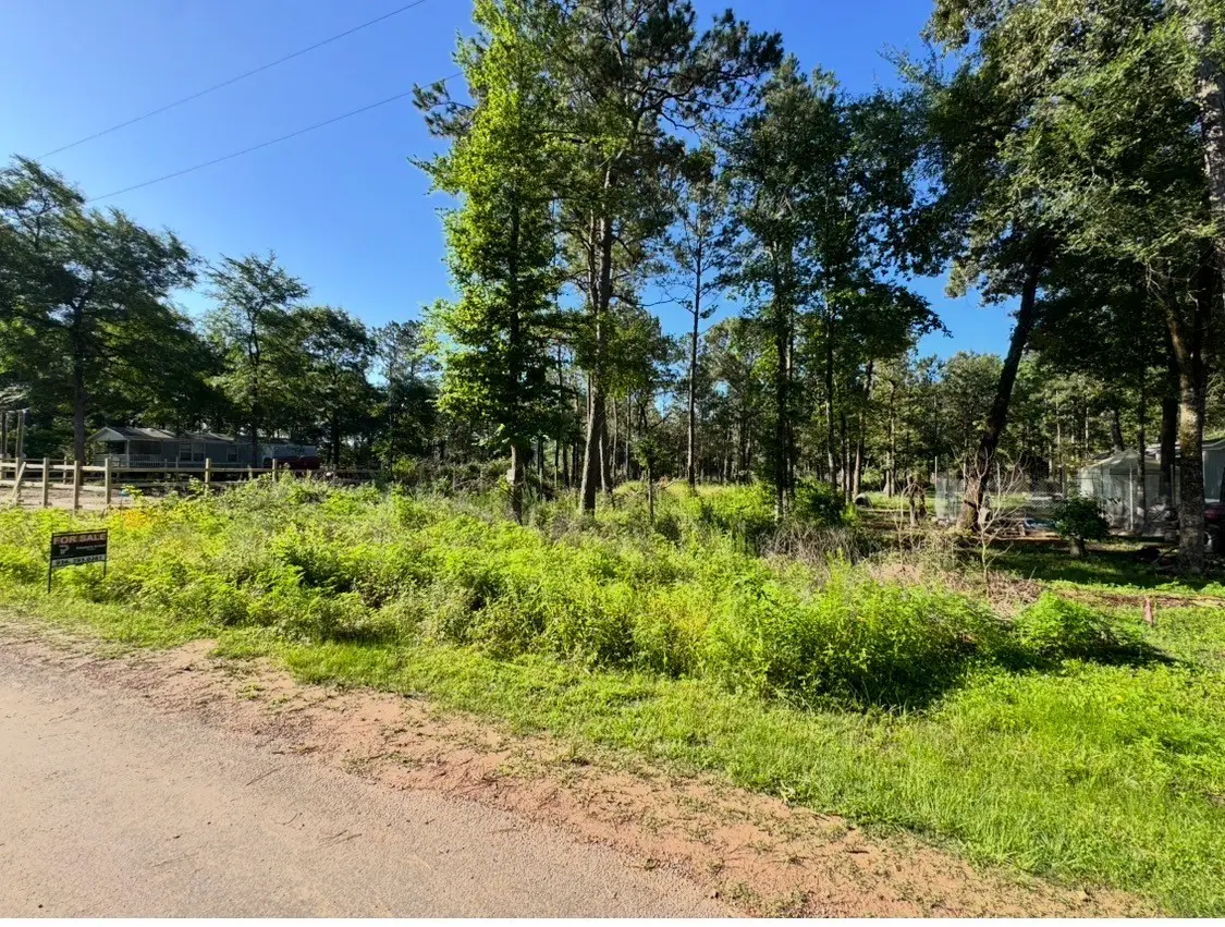8020 Tawnyberry Lane, Plantersville, TX 77363 - #1