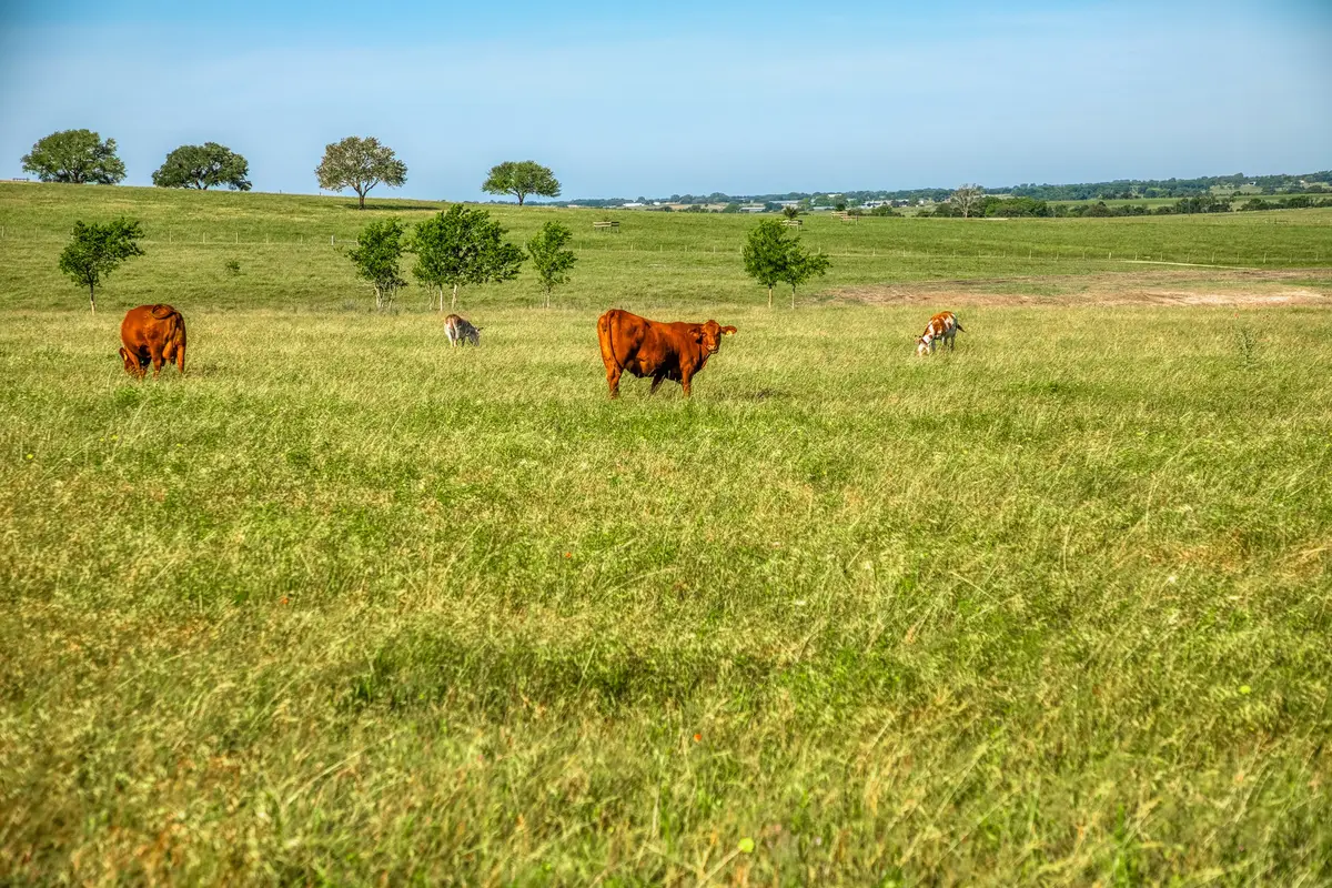5005 Fuchs Rd, Burton, TX 77835 - #1
