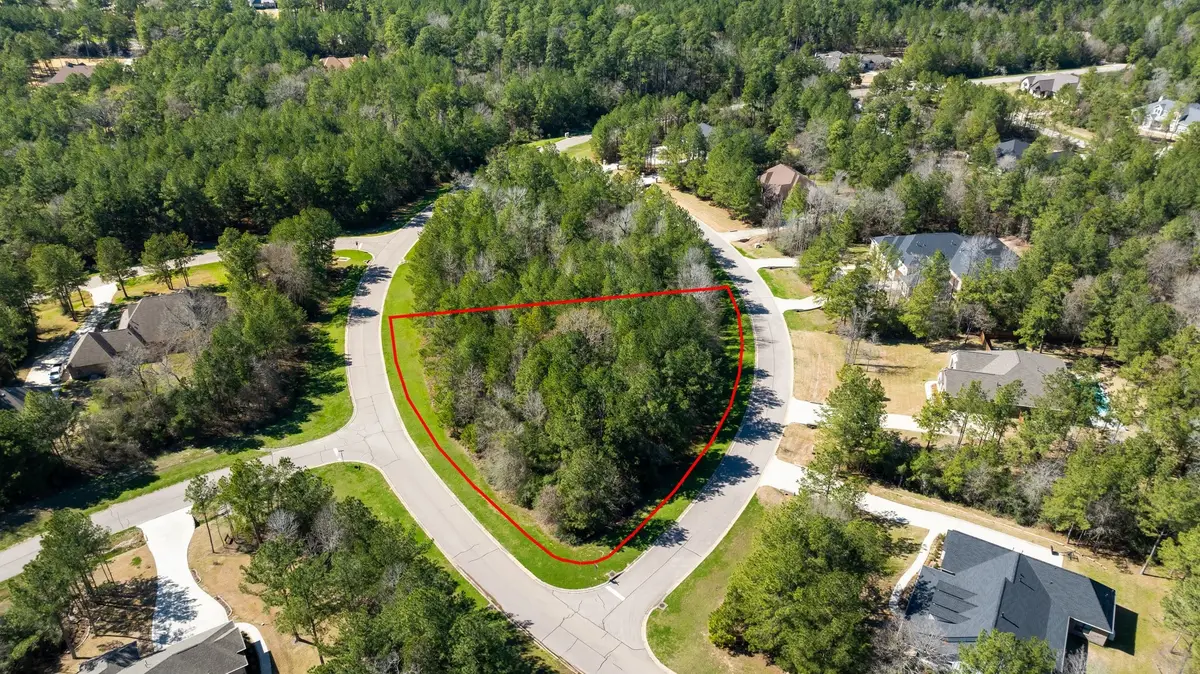 26207 Huntsworth Lane, Montgomery, TX 77316 - #1