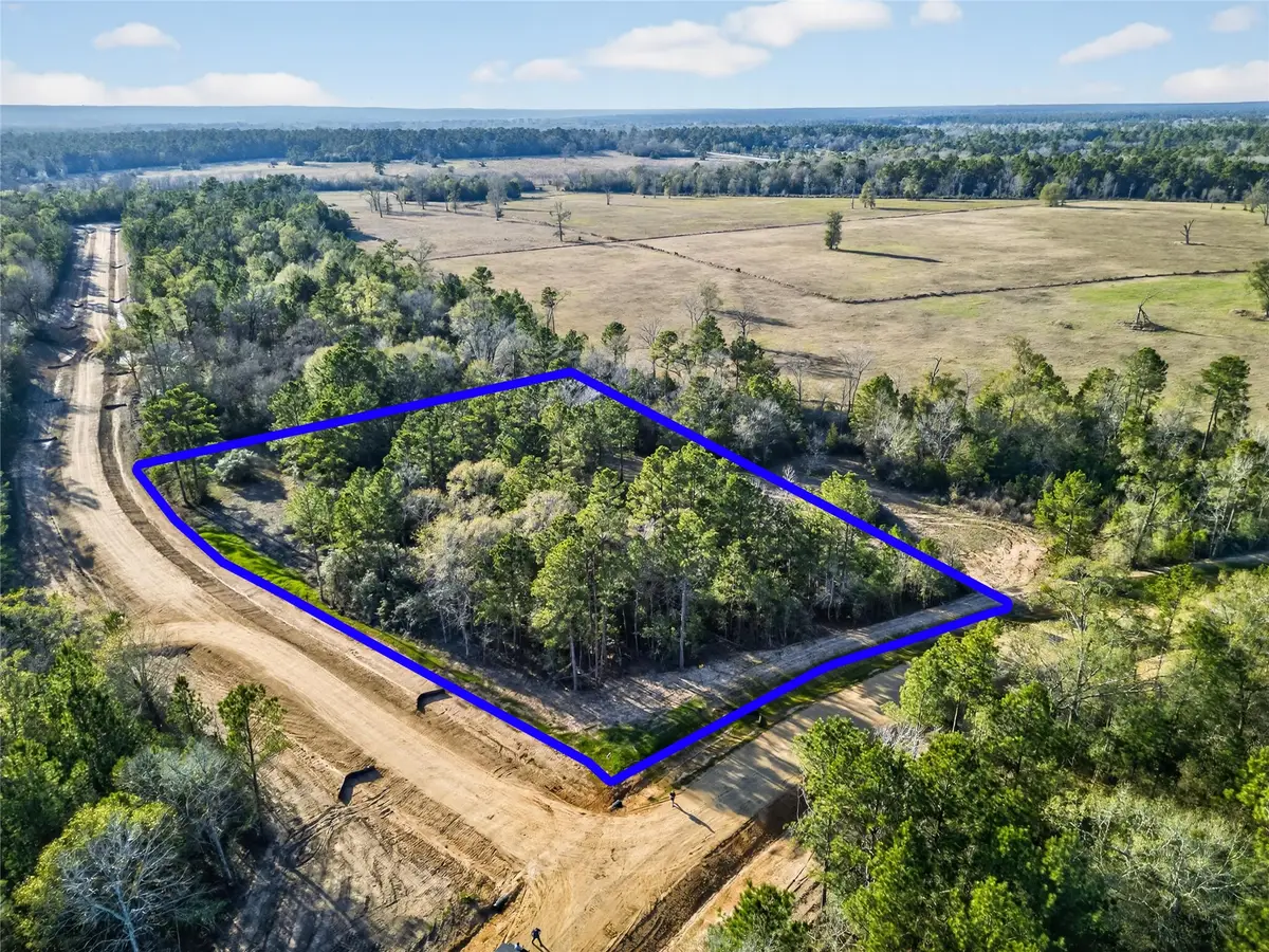 100 Remington Court, Coldspring, TX 77331 - #1