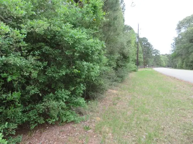 23110 Glenmont Estates Boulevard, Magnolia, TX 77355 - #1