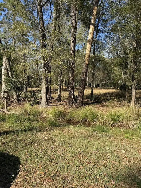 164165 Pin Oak Lane, Huffman, TX 77336