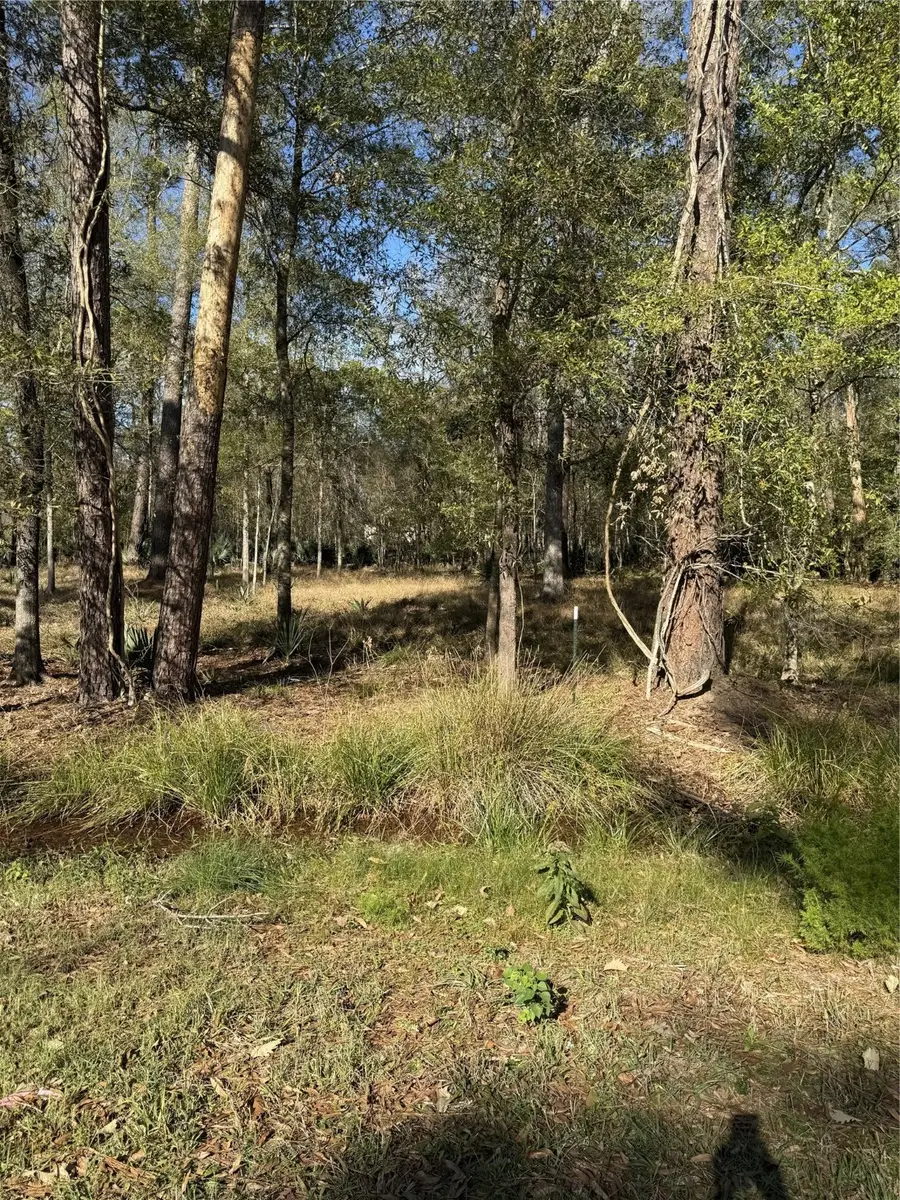 164165 Pin Oak Lane, Huffman, TX 77336 - Image #3