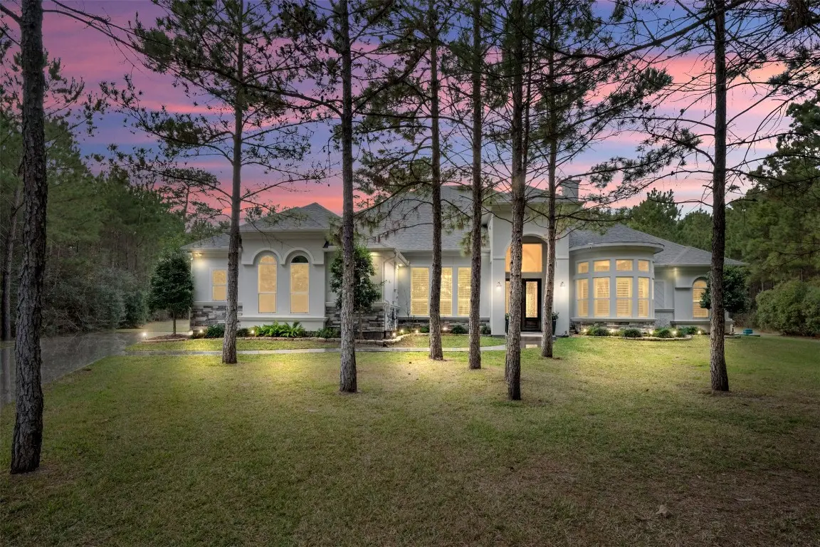26214 Crown Court, Montgomery, TX 77316 - #1