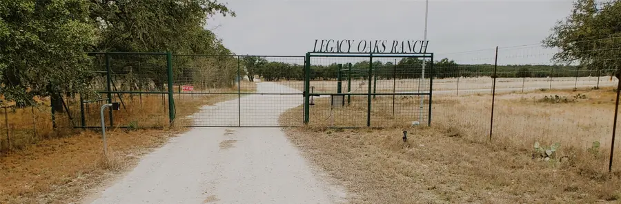 1103 Legacy Oaks Drive, Harper, TX 78631 - Image #3