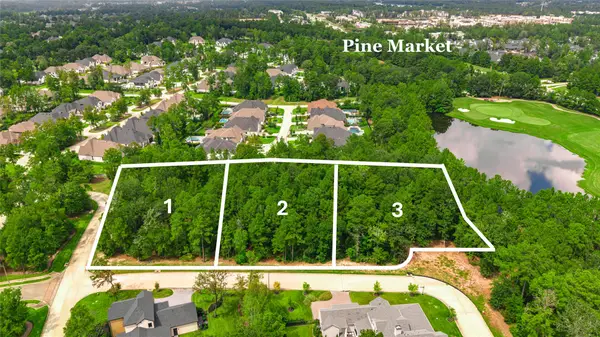 100 Castle Pines Drive, Montgomery, TX 77316