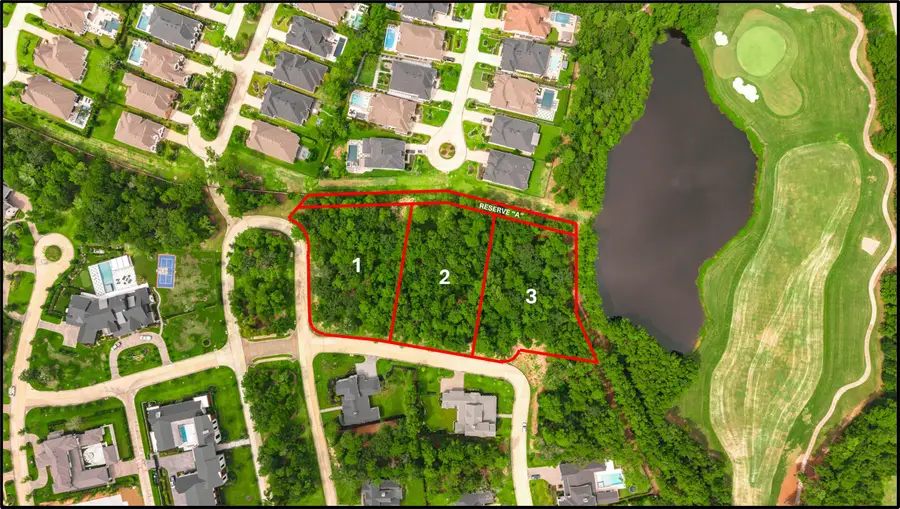 100 Castle Pines Drive, Montgomery, TX 77316 - #2