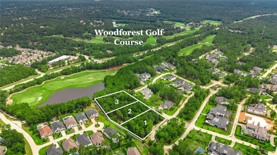 100 Castle Pines Drive, Montgomery, TX 77316 - #3