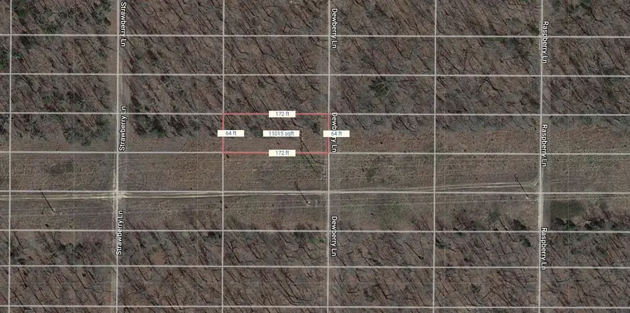 1523 Dewberry Lane, Horseshoe Bend, Ar 72512 - #2