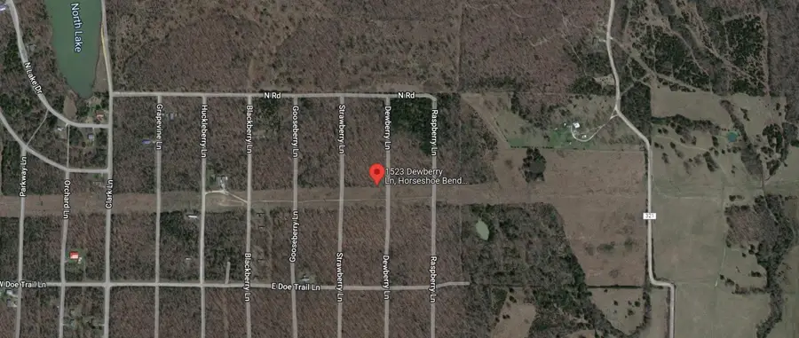 1523 Dewberry Lane, Horseshoe Bend, Ar 72512 - #3