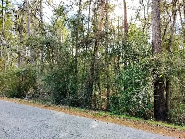 0 Belleau Wood Drive, Houston, TX 77338