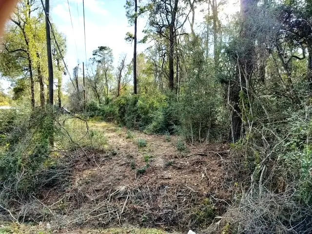 0 Belleau Wood Drive, Houston, TX 77338 - Image #2