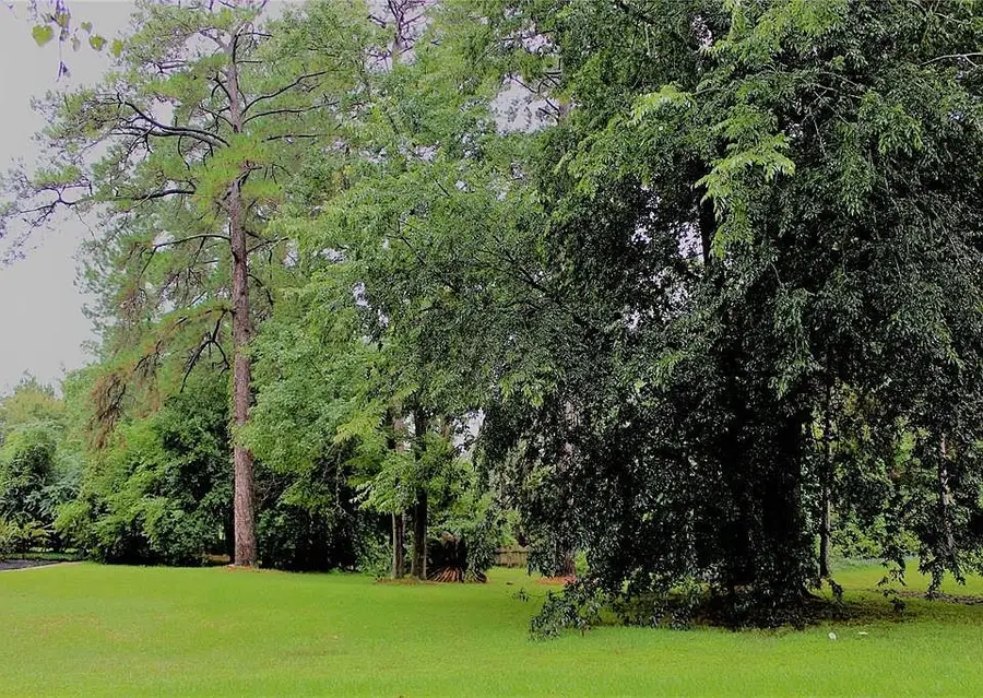 149 Springs Edge Drive, Conroe, TX 77356 - Image #2