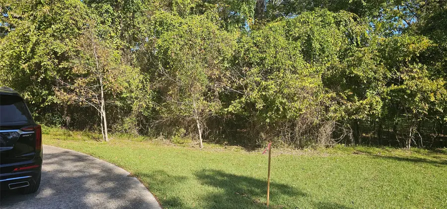 149 Springs Edge Drive, Conroe, TX 77356 - Image #3