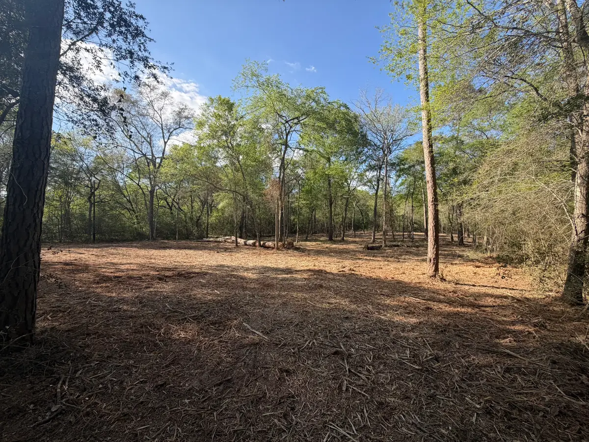 30505 N Walnut Creek Drive, Waller, TX 77484 - #1