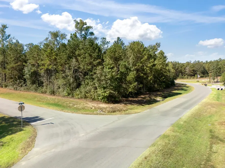 7204 Choctaw Ridge, Montgomery, TX 77316 - Image #3