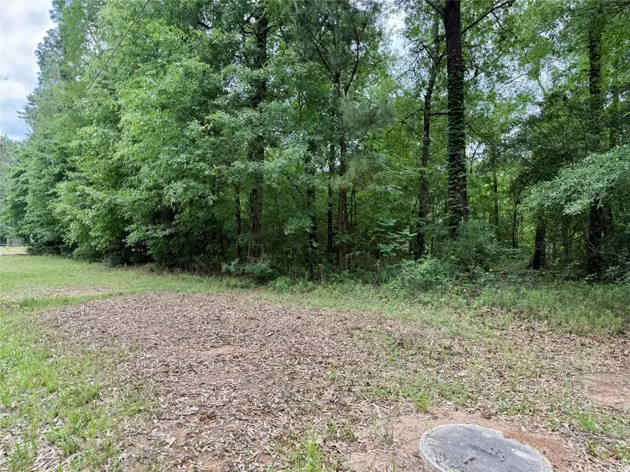 151 Moonlite Drive, Livingston, TX 77351 - #2