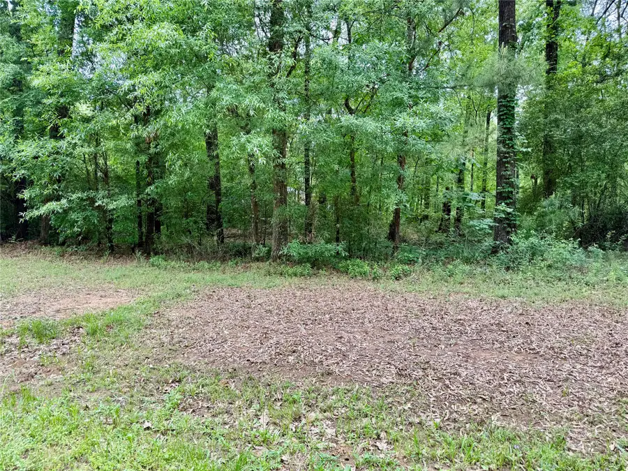 151 Moonlite Drive, Livingston, TX 77351 - #3