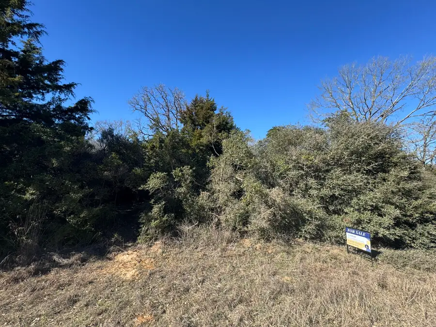 79 Lakefront Drive, Normangee, TX 77871 - #2