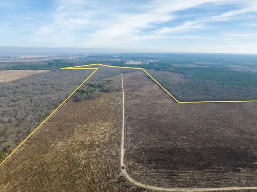 TBD Fm 195, Bagwell, TX 75412 - #3