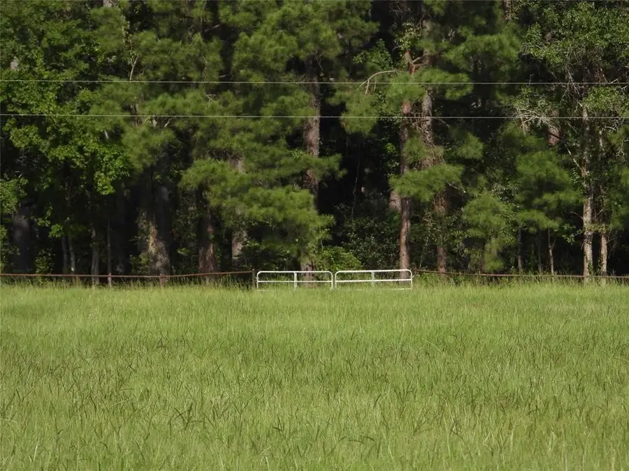 TBD 2 Bethel Rd, Richards, TX 77873 - #2