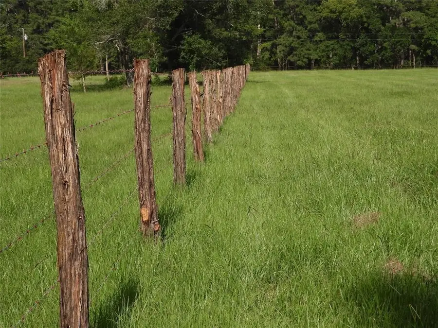 TBD 2 Bethel Rd, Richards, TX 77873 - #3