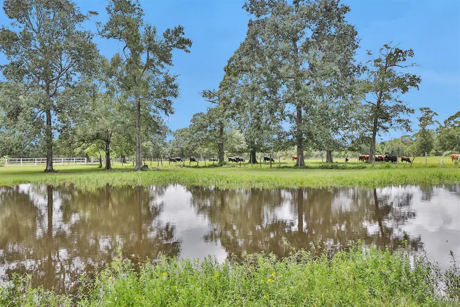 5467 Farm To Market 1010, Cleveland, TX 77327 - Image #3