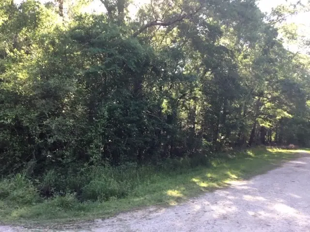 000 Brook Tree, Livingston, TX 77351 - #1