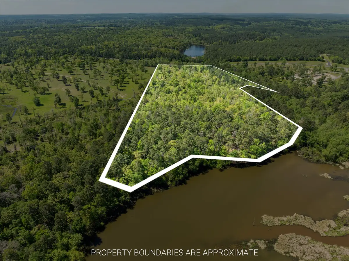 TBD Fm 3506, Chandler, TX 75758 - Image #1