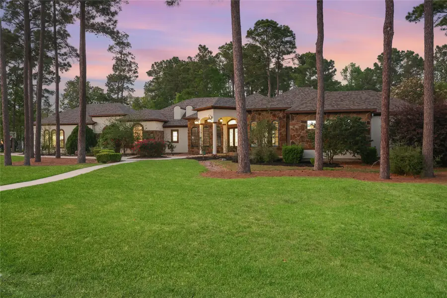 27307 Sgt Taylor Memorial, Spring, TX 77386 - #2