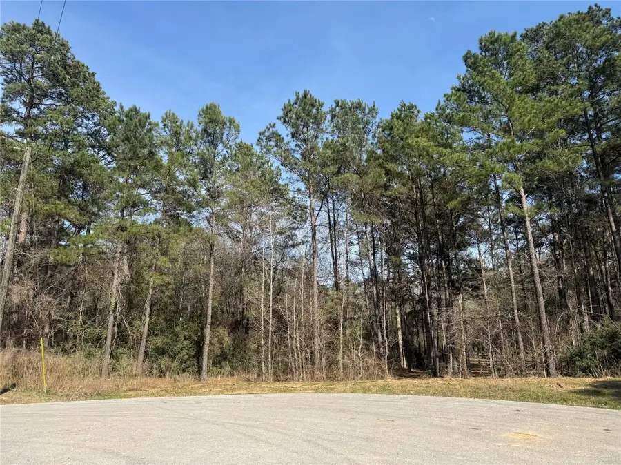 67-21-13 Bighorn Road, New Waverly, TX 77358 - #3