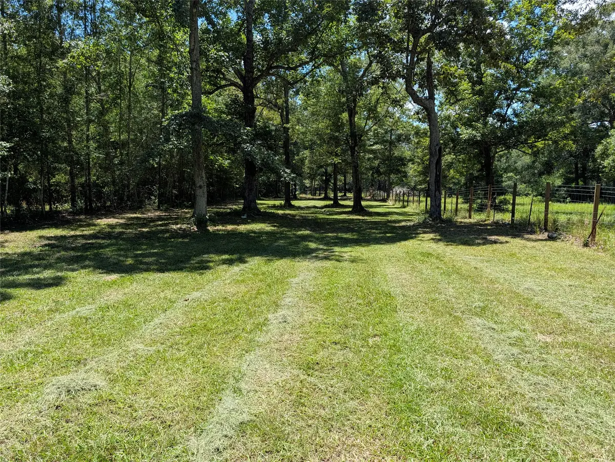 2540 Eastwood Drive, Saratoga, TX 77585 - #1
