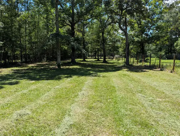2540 Eastwood Drive, Saratoga, TX 77585