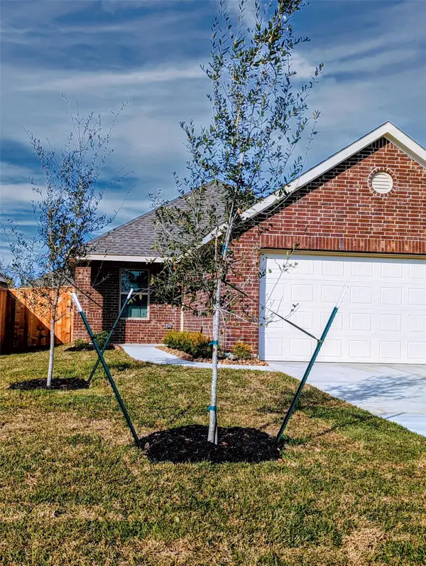 20855 Cropani Shadow Drive, New Caney, TX 77357