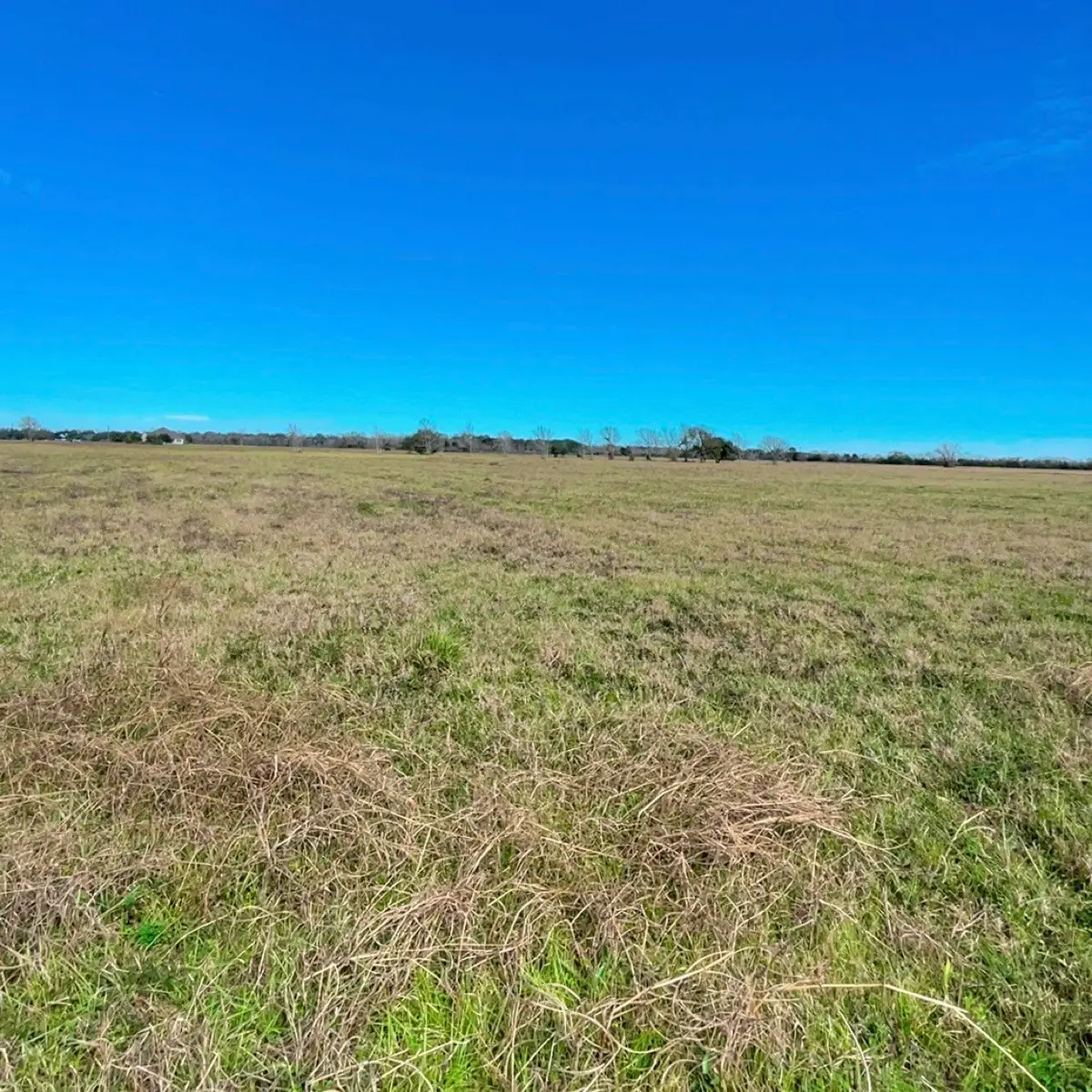 345 Sandy Trail, Angleton, TX 77486 - #1