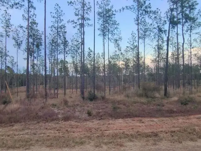 087 Private Road 6026, Brookeland, TX 75931 - #3