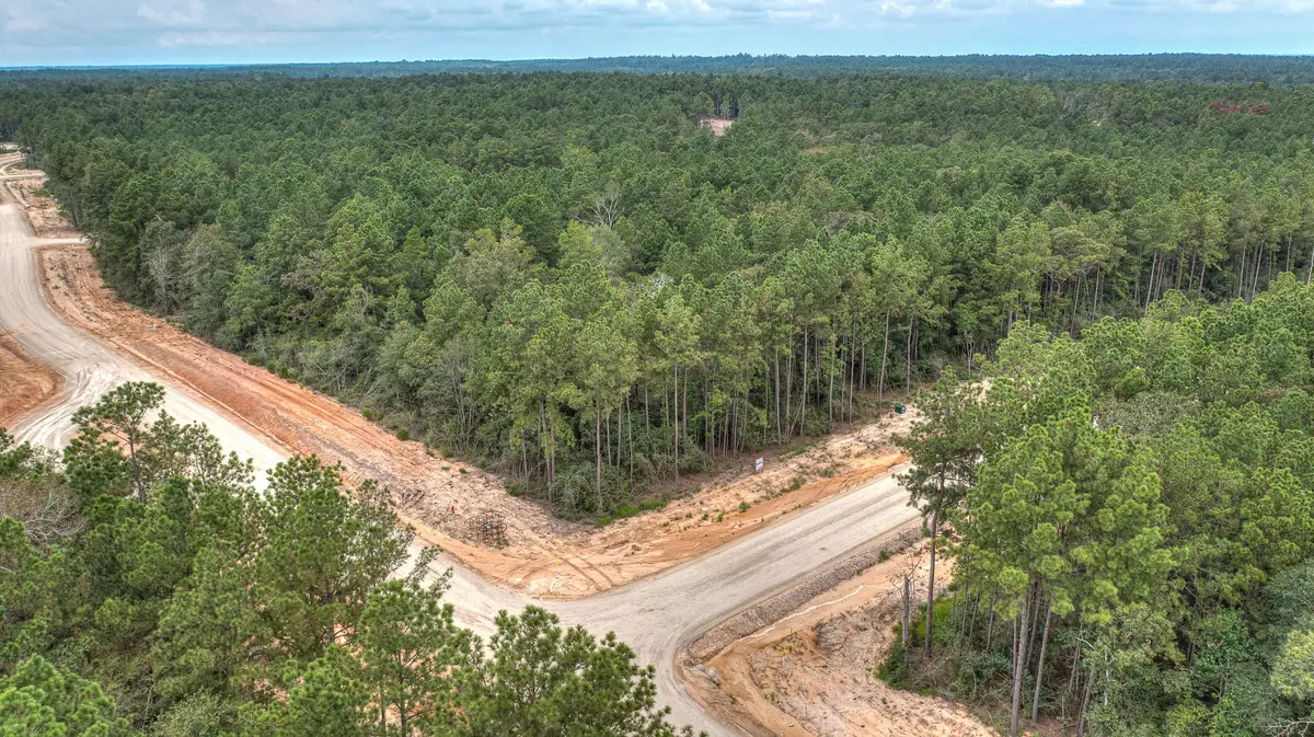 4848 Red Coyote Lane, Montgomery, TX 77316 - #1