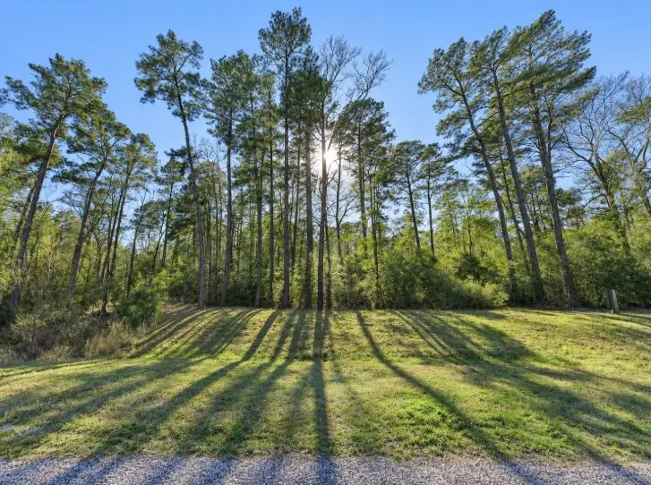3-15-32 Winchester Road, Huntsville, TX 77340 - #3