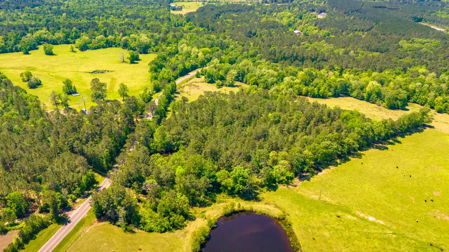 NA Fm-942, Livingston, TX 77351 - #2