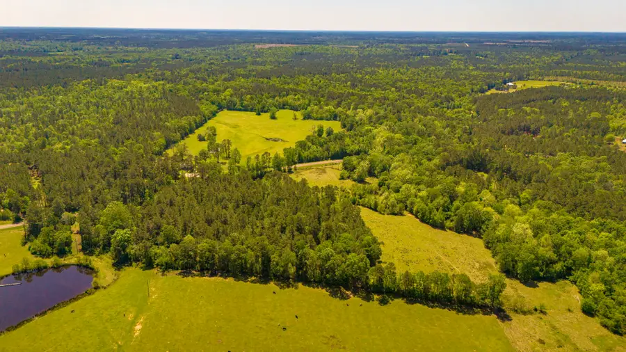 NA Fm-942, Livingston, TX 77351 - #3