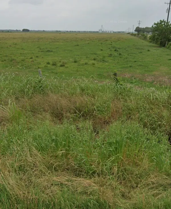 TBD Cr 321, Louise, TX 77455