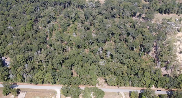 TBD Tbd Crowley Rd, Conroe, TX 77301