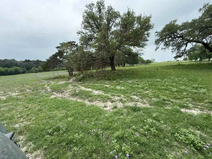 5719-6 Farm To Market 2238, Schulenburg, TX 78956 - #2