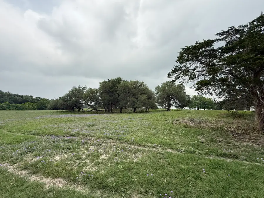 5719-6 Farm To Market 2238, Schulenburg, TX 78956 - #3