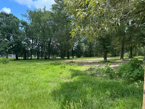 TBD N Mount Mariah Road, Montgomery, TX 77356
