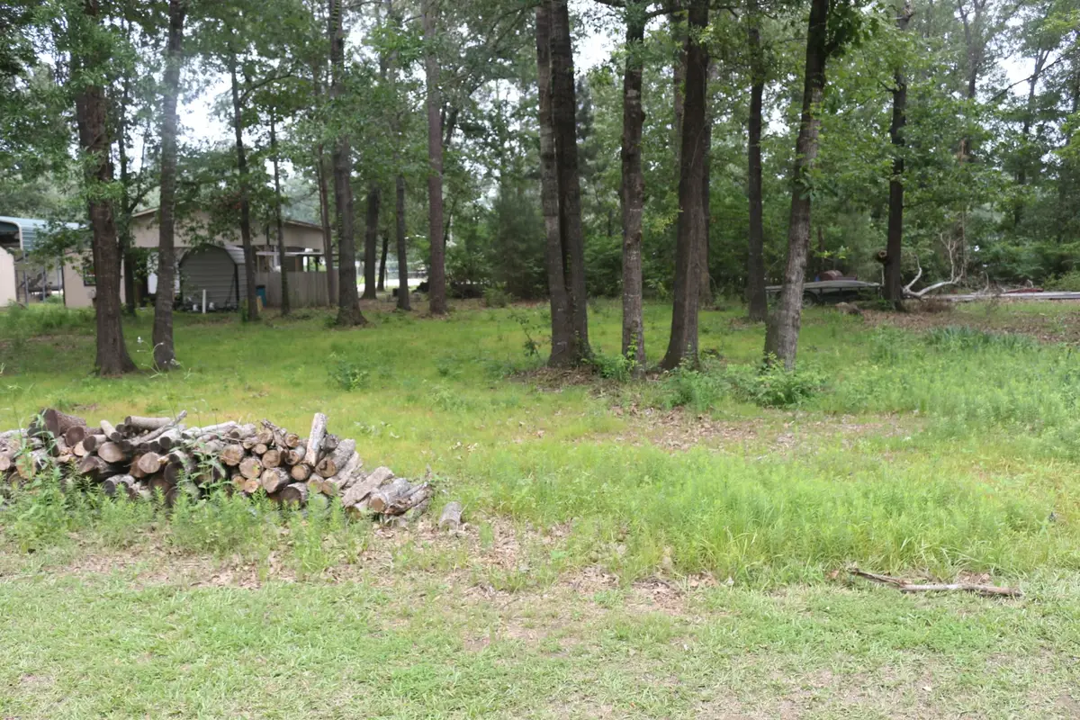 TBD Belize Drive, Point Blank, TX 77364 - #1