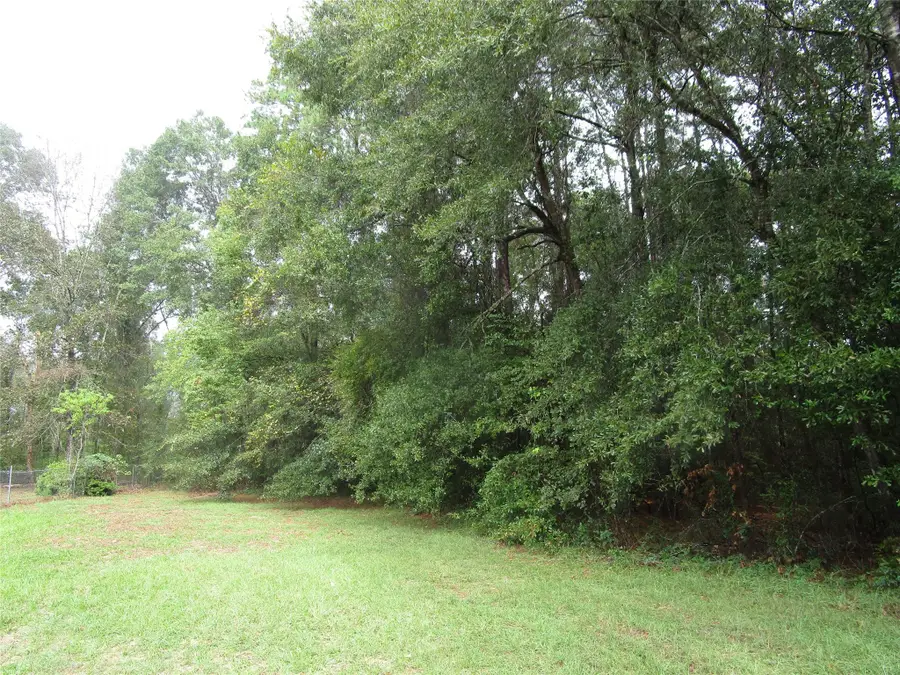 Lot 9 Stevens Forest, New Caney, TX 77357 - Image #3