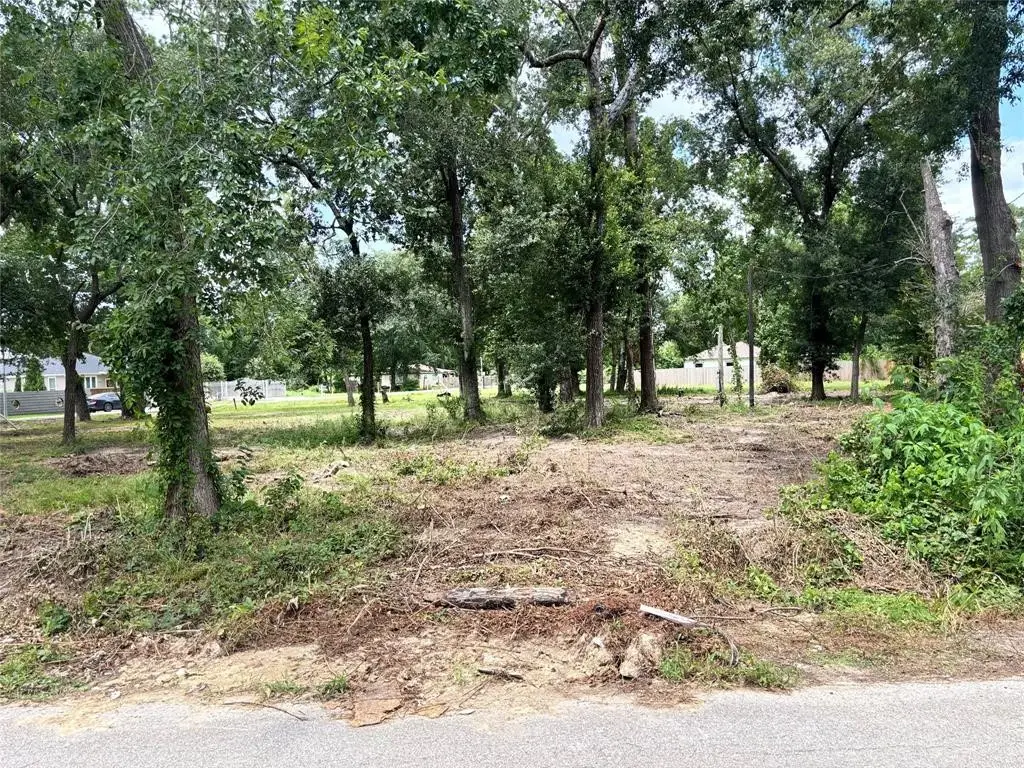 10406 Belridge Street, Houston, TX 77016 - #1