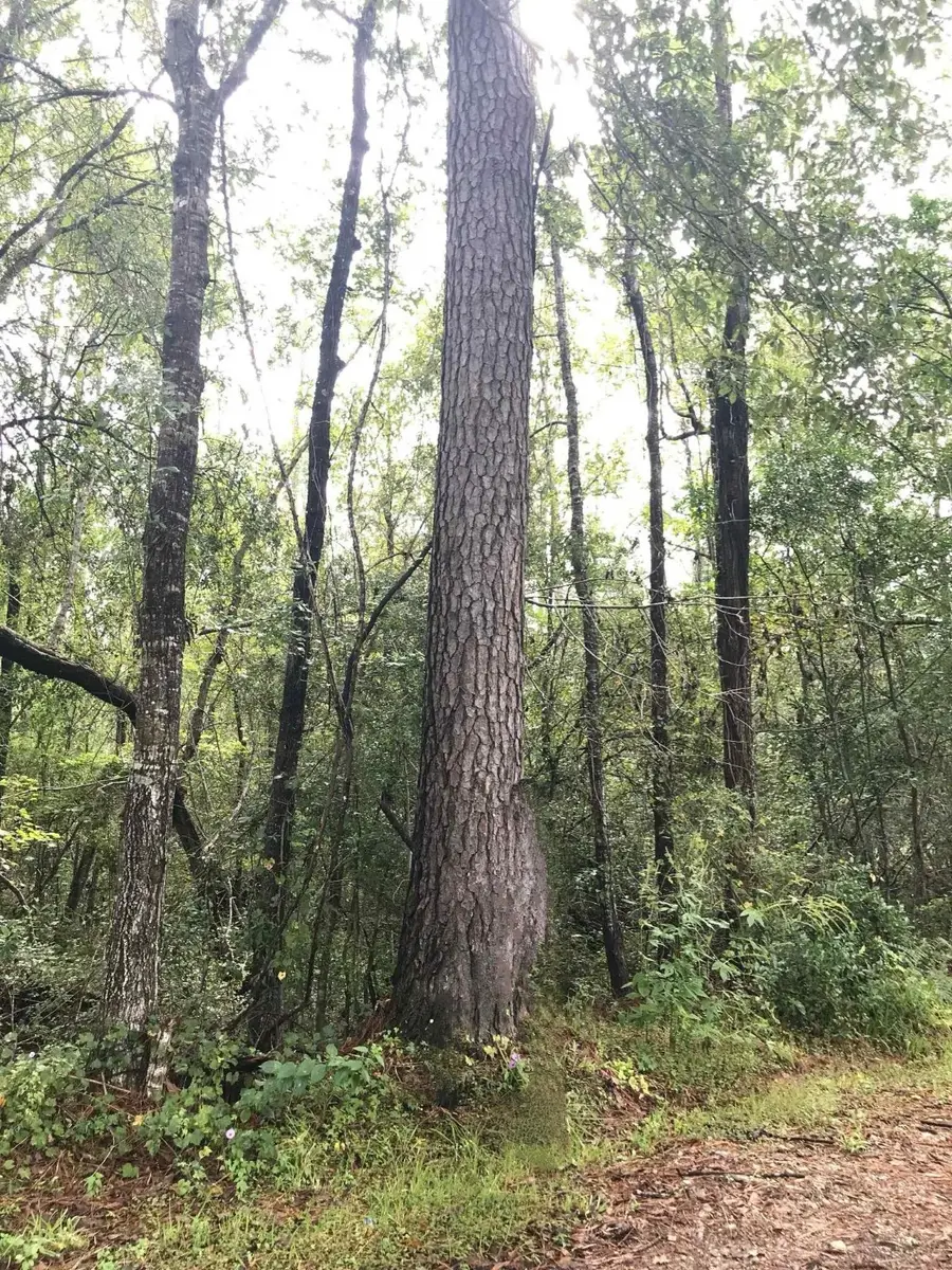 3665 E Railroad, Vidor, TX 77662 - Image #3